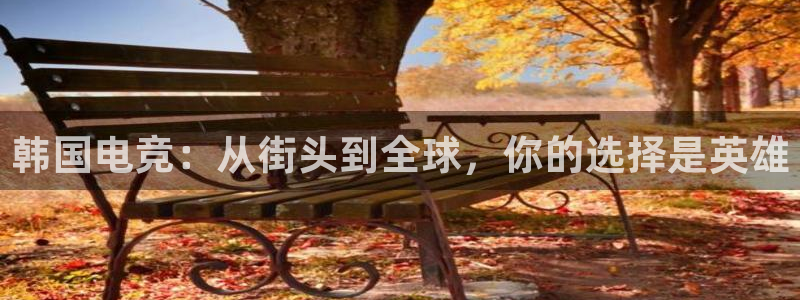火狐电竞体育平台怎么样：韩国电竞：从街头到全球，你的选择是英雄