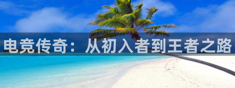 火狐电竞怎么样