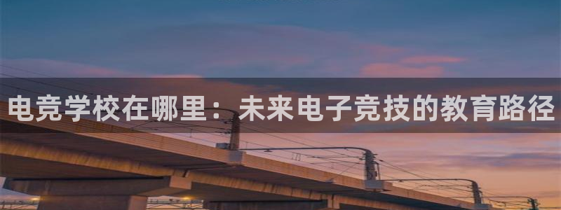 火狐电竞APP官网正版下载：电竞学校在哪里：未来电子竞技的教育路径