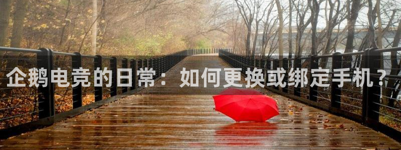 火狐电竞APP下载：企鹅电竞的日常：如何更换或绑定手机？