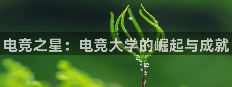 火狐电竞平台app下载：电竞之星：电竞大学的崛起与成就