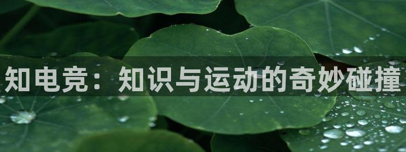 火狐电竞APP首页：知电竞：知识与运动的奇妙碰撞