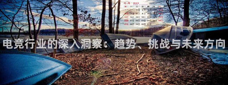 火狐电竞APP：电竞行业的深入洞察：趋势、挑战与未来方向