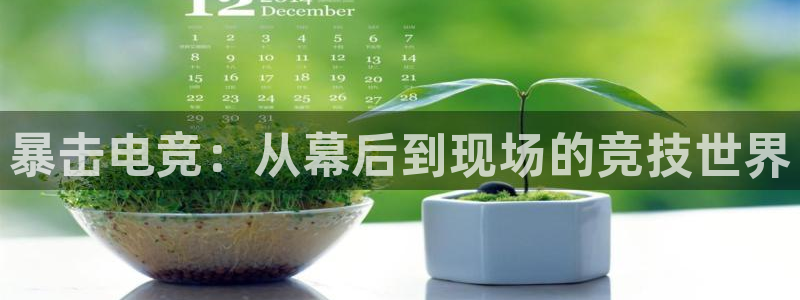 火狐电竞平台官网：暴击电竞：从幕后到现场的竞技世界
