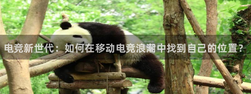 火狐电竞怎么样：电竞新世代：如何在移动电竞浪潮中找到自己的位置？