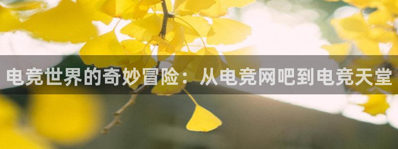 火狐电竞huohu：电竞世界的奇妙冒险：从电竞网吧到电竞天堂
