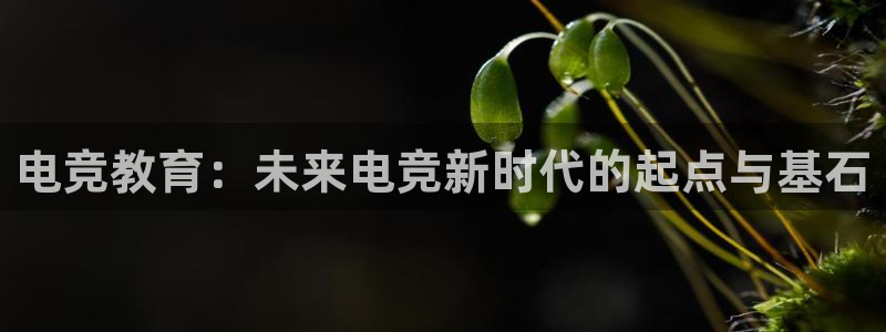 火狐电竞体育：电竞教育：未来电竞新时代的起点与基石