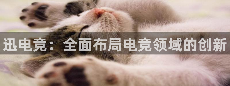 火狐电竞在线入口官网：迅电竞：全面布局电竞领域的创新