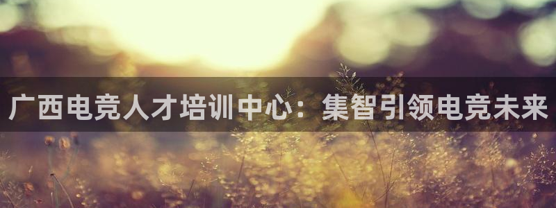 火狐电竞网页：广西电竞人才培训中心：集智引领电竞未来