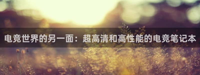 火狐电竞体育平台：电竞世界的另一面：超高清和高性能的电竞笔记本