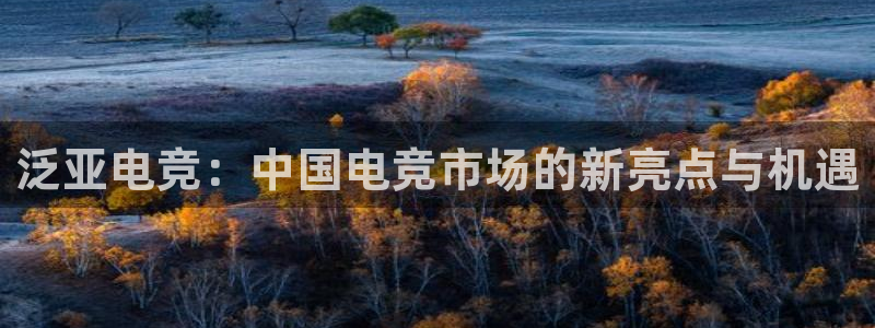 火狐电竞ios：泛亚电竞：中国电竞市场的新亮点与机遇