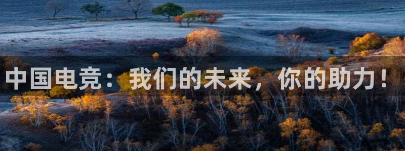 火狐电竞APP官网正版下载：中国电竞：我们的未来，你的助力！