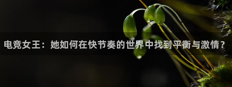 火狐电竞宾馆：电竞女王：她如何在快节奏的世界中找到平衡与激情？