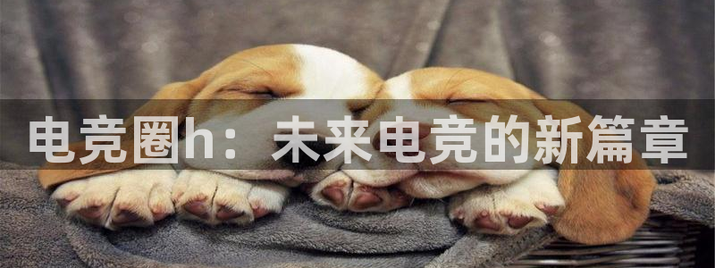 火狐电竞APP首页：电竞圈h：未来电竞的新篇章