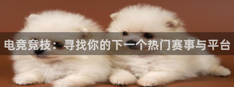 火狐电竞体育：电竞竞技：寻找你的下一个热门赛事与平台