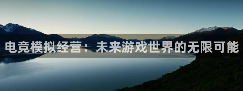 火狐电竞体育平台怎么样：电竞模拟经营：未来游戏世界的无限可能