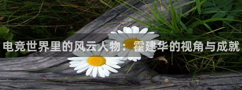 火狐电竞怎么样：电竞世界里的风云人物：霍建华的视角与成就