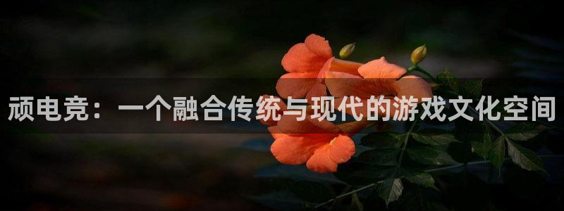 火狐电竞登录app：顽电竞：一个融合传统与现代的游戏文化空间