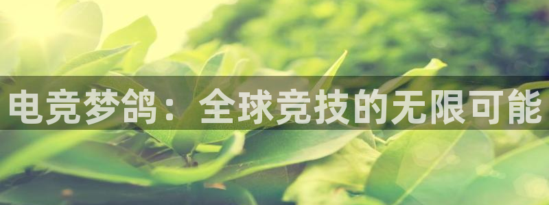 火狐电竞网页：电竞梦鸽：全球竞技的无限可能