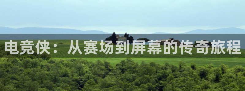 火狐电竞酒店：电竞侠：从赛场到屏幕的传奇旅程