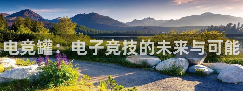 火狐电竞酒店：电竞罐：电子竞技的未来与可能