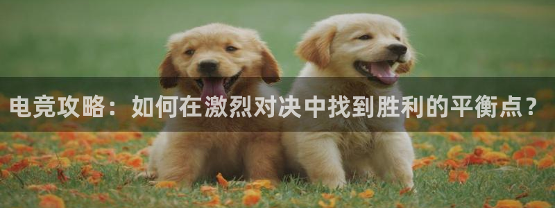 火狐电竞官方网站：电竞攻略：如何在激烈对决中找到胜利的平衡点？