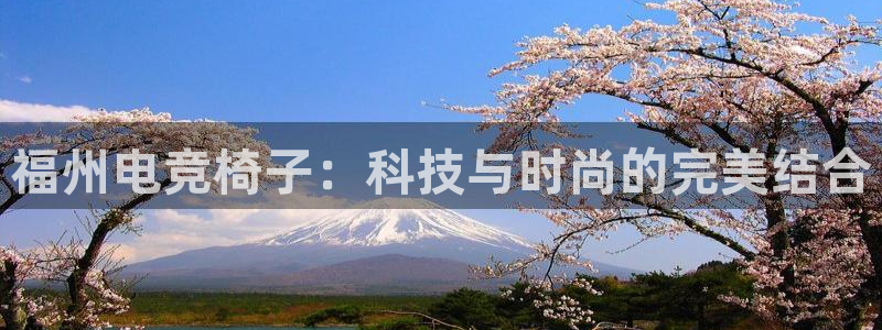 火狐电竞APP官网正版下载：福州电竞椅子：科技与时尚的完美结合